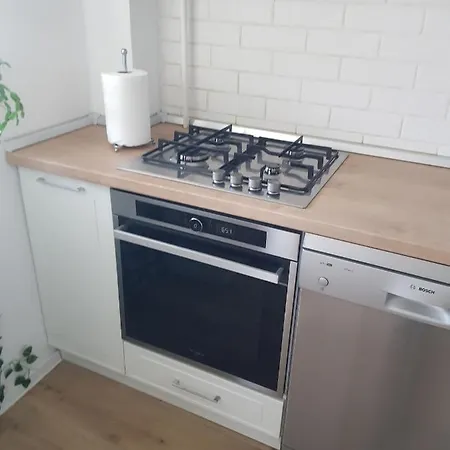 Garden Apartment Timisoara